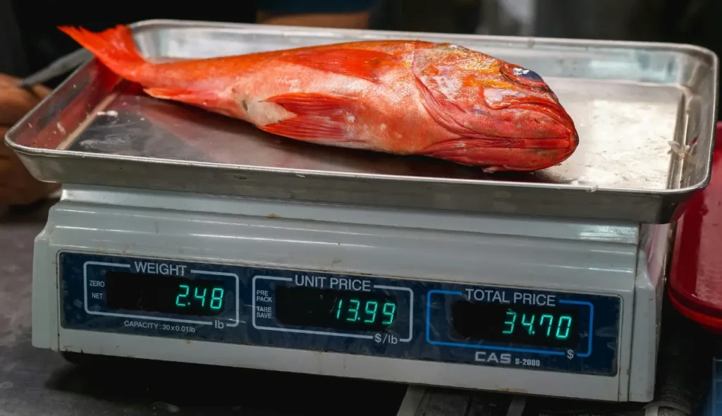 Digital Kitchen Scales For The Health Conscious NYT